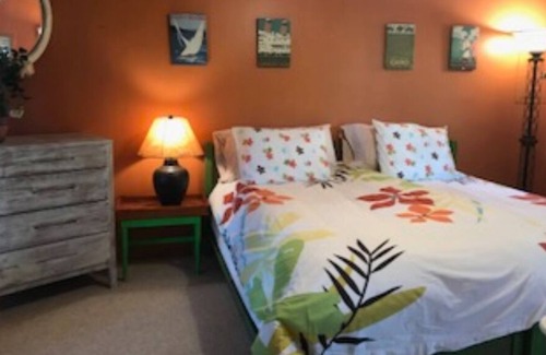 South Hero Cabaña | Romántico, tranquilo lago frente a una casa de un dormitorio, perro amigable con sauna.