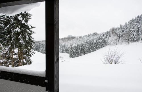 Neuastenberg Casa | Romantikhütte Neuastenberg