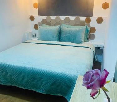 Korce Casa | Romeo apt with private garden