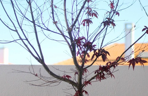 Mafra Casa | Casa en la azotea y barbacoa en el centro de Mafra Vila