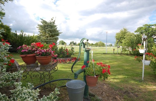 Sierksdorf Apartamento | Room 3 with own shared shower /WC in the ground floor - Field view - Pension Pohnsdorfer Mühle Guest room