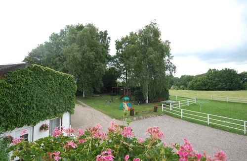 Sierksdorf Apartamento | Room 3 with own shared shower /WC in the ground floor - Field view - Pension Pohnsdorfer Mühle Guest room