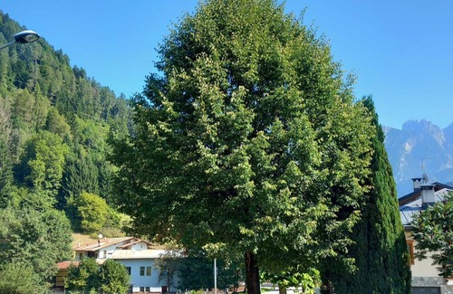 Lozzo di Cadore Apartamento | Habitación "Cámara 1" con Wi-Fi