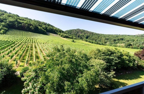 Andel Apartamento | Room "Chardonnay" - Roussel - Hotel Restaurant