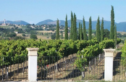 Montefalco Apartamento | Habitación 'Cipriano' con jardín compartido, Wi-Fi y aire acondicionado