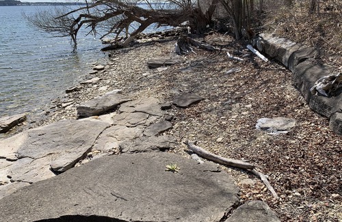 Elizabethtown-Kitley Casa | Room for two on mighty St. Lawrence River with 75 ft of water front.