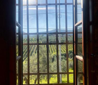 Santa Cristina a Mezzana Casa | Room in BB - Alessio room overlooking the vineyards of Tuscany