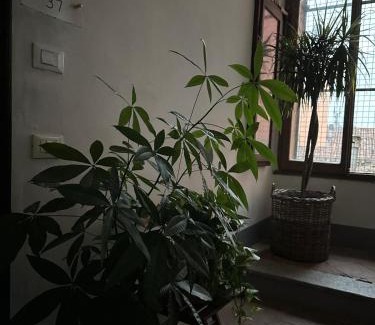 Cremona Apartamento | Room Manzoni 37
