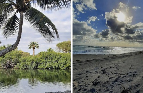 Hobe Sound Casa | Room or 1/1 full house for rent