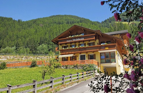 Valle Aurina Apartamento | Habitación 'Pension Waldheim 7' con vistas a la montaña, jardín compartido y Wi-Fi