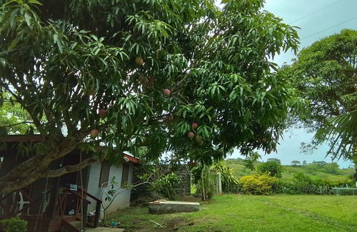 Ba Casa | Room-private Villa in Tonge, Fiji