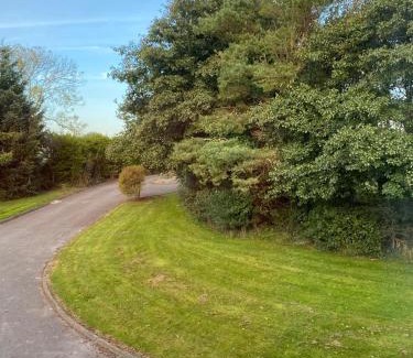 County Cork Cama Y Desayuno | Room Stay 2