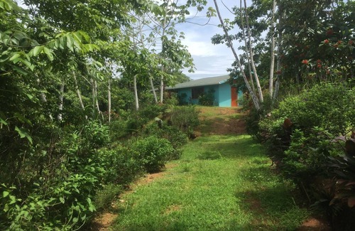 Bahía Drake Casa | Room in Lodge - Villa With Primary Forest View