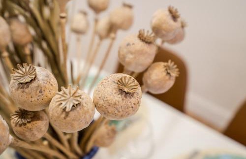 Erzsebetvaros Apartamento | ROOMLI Boho Chic Apartments