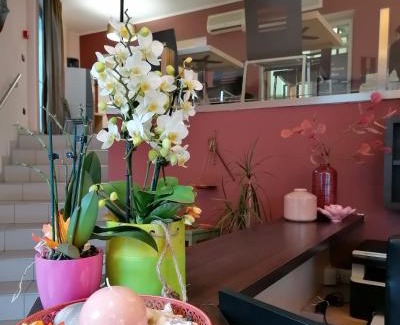 Borghetto Santo Spirito Hotel | Rooms&Apartments Hotel Danci