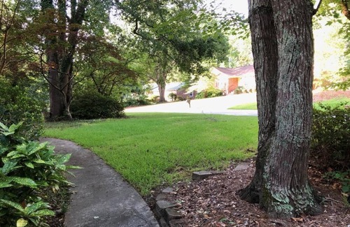 Harbison Apartamento | ROOMY APARTMENT IN QUIET NEIGHBORHOOD CLOSE TO EVERYTHING!