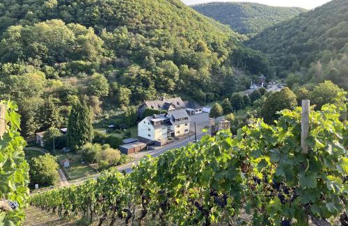 Mainz-Bingen Apartamento | Roosartige Ferien - Ferienwohnung am Weiherturm
