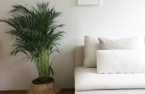 Punavuori Apartamento | Roost Pursimiehenkatu