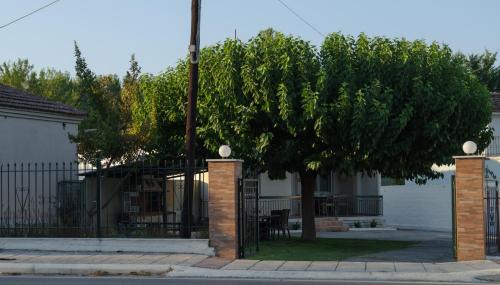 Ano Rodonia Casa | Roots House Pozar