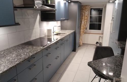 Niederdorf Apartamento | Rosa Apartment Zürich City