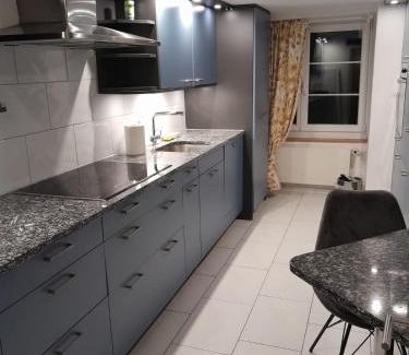 Niederdorf Apartamento | Rosa Apartment Zürich City