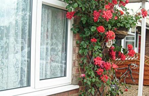 Arbury Cama Y Desayuno | Rosa's Bed and Breakfast