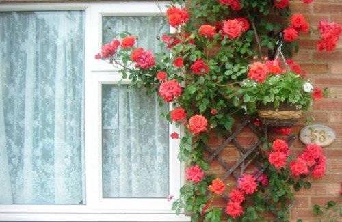 Arbury Cama Y Desayuno | Rosa's Bed and Breakfast