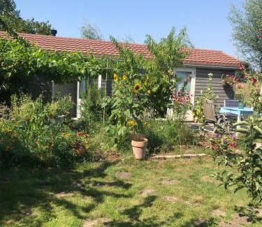 Schoorldam Complejo | Rosa's zonnige huisje bij duinen bos en strand