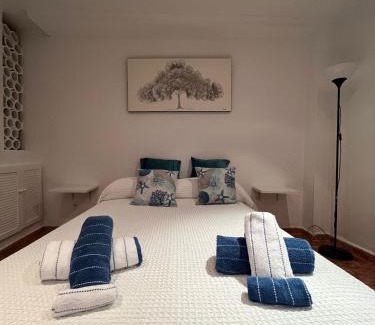 El Molinillo Apartamento | Rosan