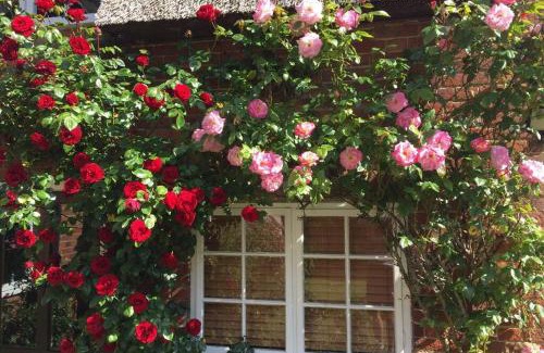 Ludham Casa | Rose Cottage