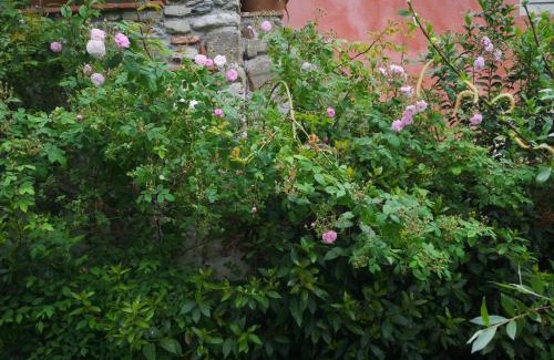 Borghetto-melara Casa | Rose Cottage Tuscany