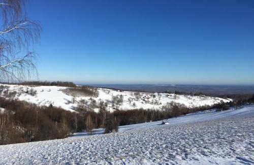 Valea Tirnei Cama Y Desayuno | Rose Hip Hill Farm