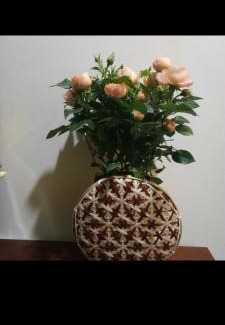 Bac Ninh Apartamento | Rose house