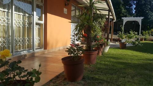 Illovo Beach Casa | Rose of Sharon