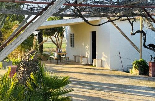 Noto Casa | Rose Violet House