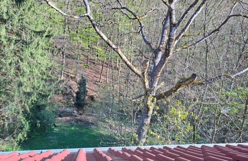 Bad Marienberg Apartamento | Rosenthal vacation apartment - 4-bed apartment