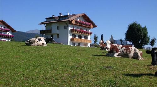 Maranza Apartamento | Rosenheim Appartement 2