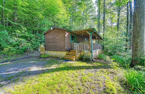 Rosman Apartamento | Rosman Vacation Rental w/ Charcoal Grill!