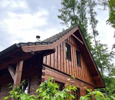 Dolni Laz Casa | Roubenka u dědy