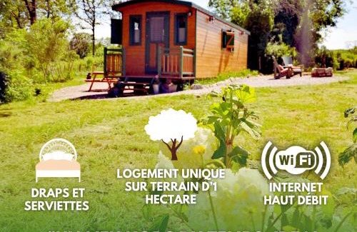 Antully Chalet De Esquí | Roulotte & Forêt - Evasion Bohème en Bourgogne