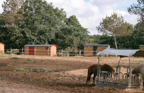Mees Otro | Roulottes cocooning au coeur des Landes