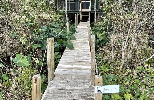Hartsfield Cabaña | Row Cottages Jasmine Cottage