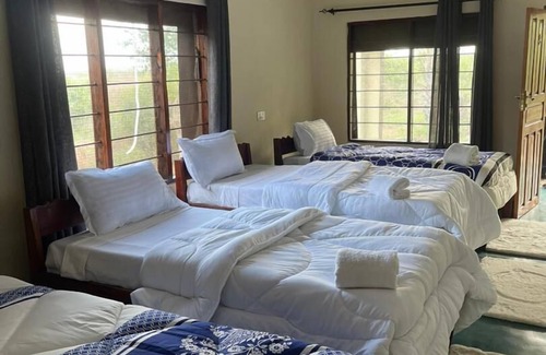 South Luangwa National Park Cabina | Royal South Luangwa Safaris Lodge