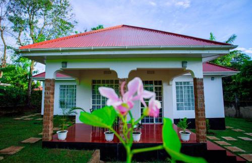 Moshi Casa | Royal Homestay
