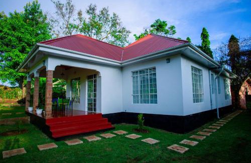 Moshi Casa | Royal Homestay