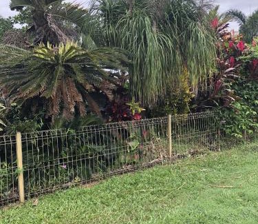 Mission Beach Casa | Royal Palm Cottage, Entire two bedroom 2 bathroom house with Pool