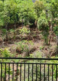 Elappara Cabina | Royal Retreat Vagamon