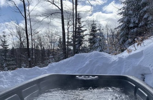 Saint Come Cabina | Royal St-Côme, ski and spa
