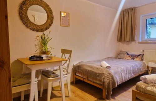 Swidnica Casa | Rozbrykany Muflon