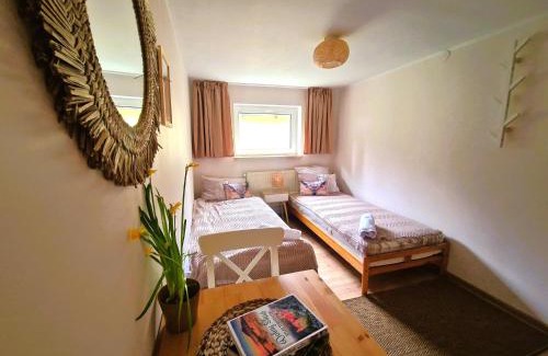 Swidnica Casa | Rozbrykany Muflon